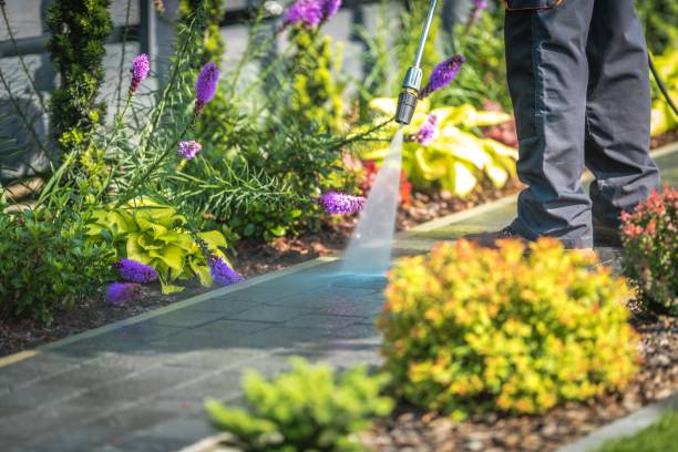 Best Parking Lot and Garage Cleaning  in Kotlik, AK